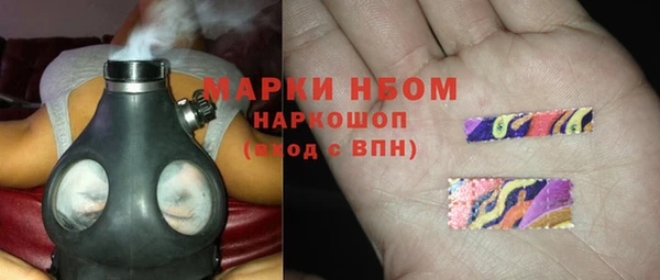 стафф Козельск
